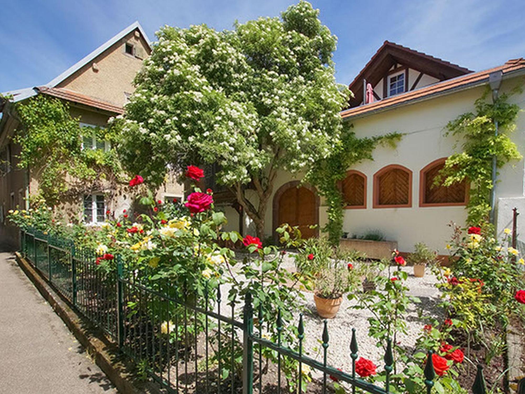 Ferienwohnungen Altes Rathaus Vogtsburg im Kaiserstuhl Extérieur photo