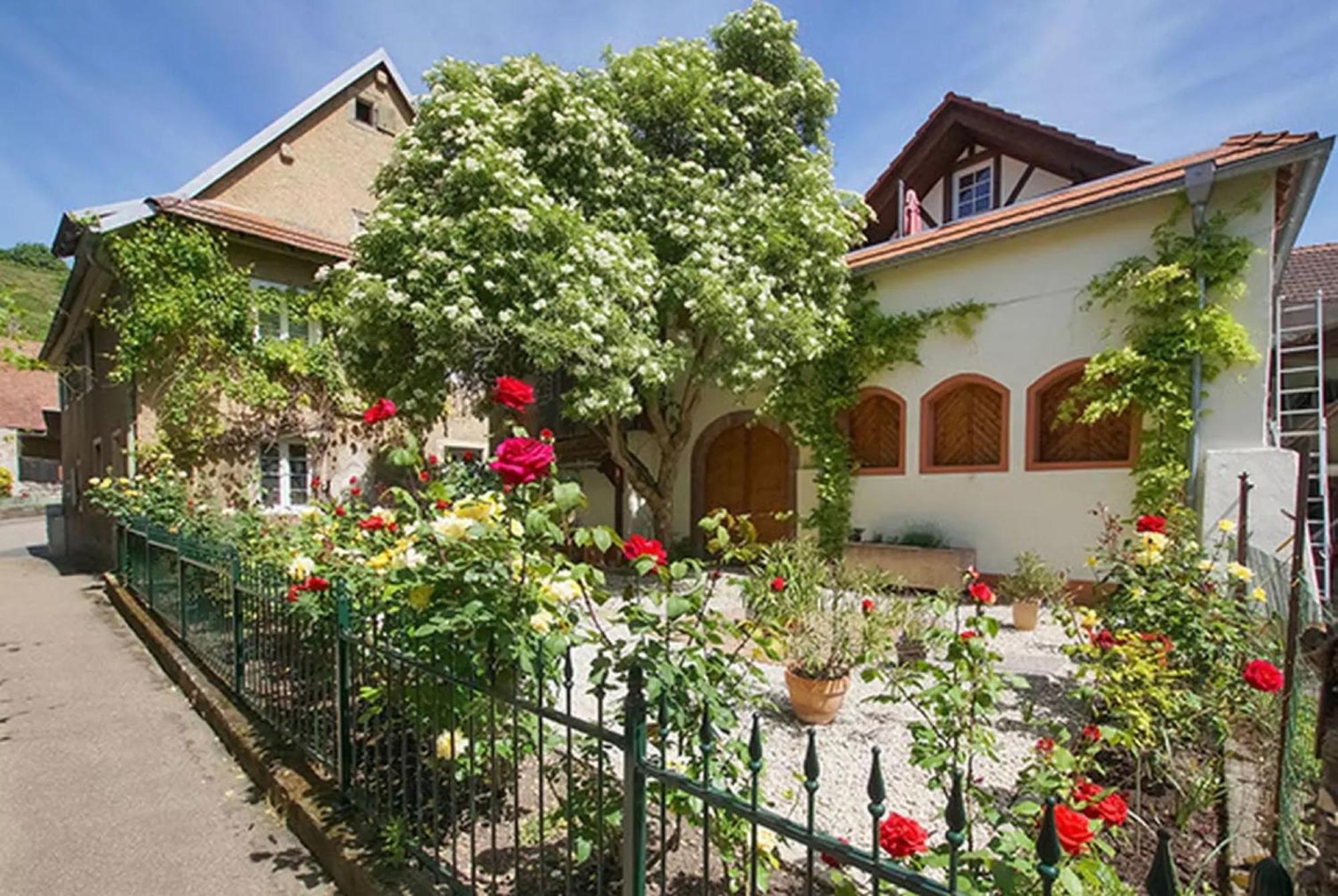 Ferienwohnungen Altes Rathaus Vogtsburg im Kaiserstuhl Extérieur photo